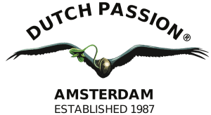 Dutch Passion - Regular sjemenke konoplje