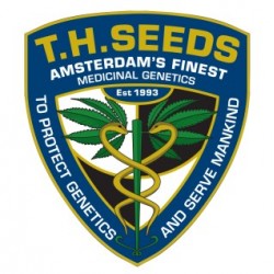 T.H.Seeds - Autoflower sjemenke konoplje