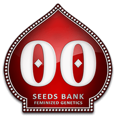 00 Seeds - Feminizirane sjemenke konoplje