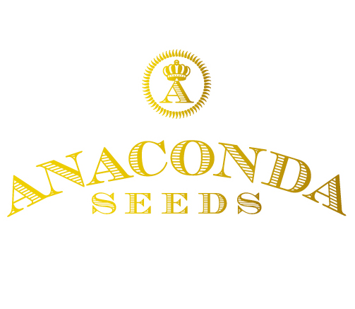 Anaconda Seeds - Feminizirane sjemenke konoplje