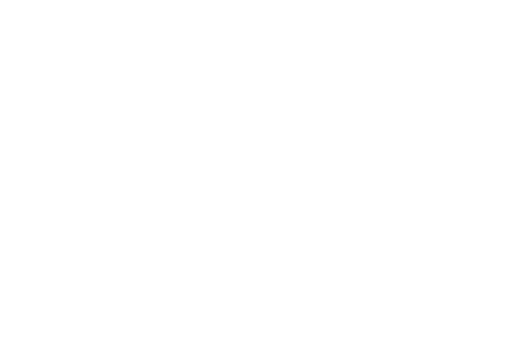 Fast Buds