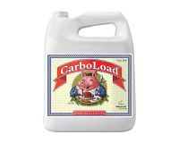 CarboLoad 10 L