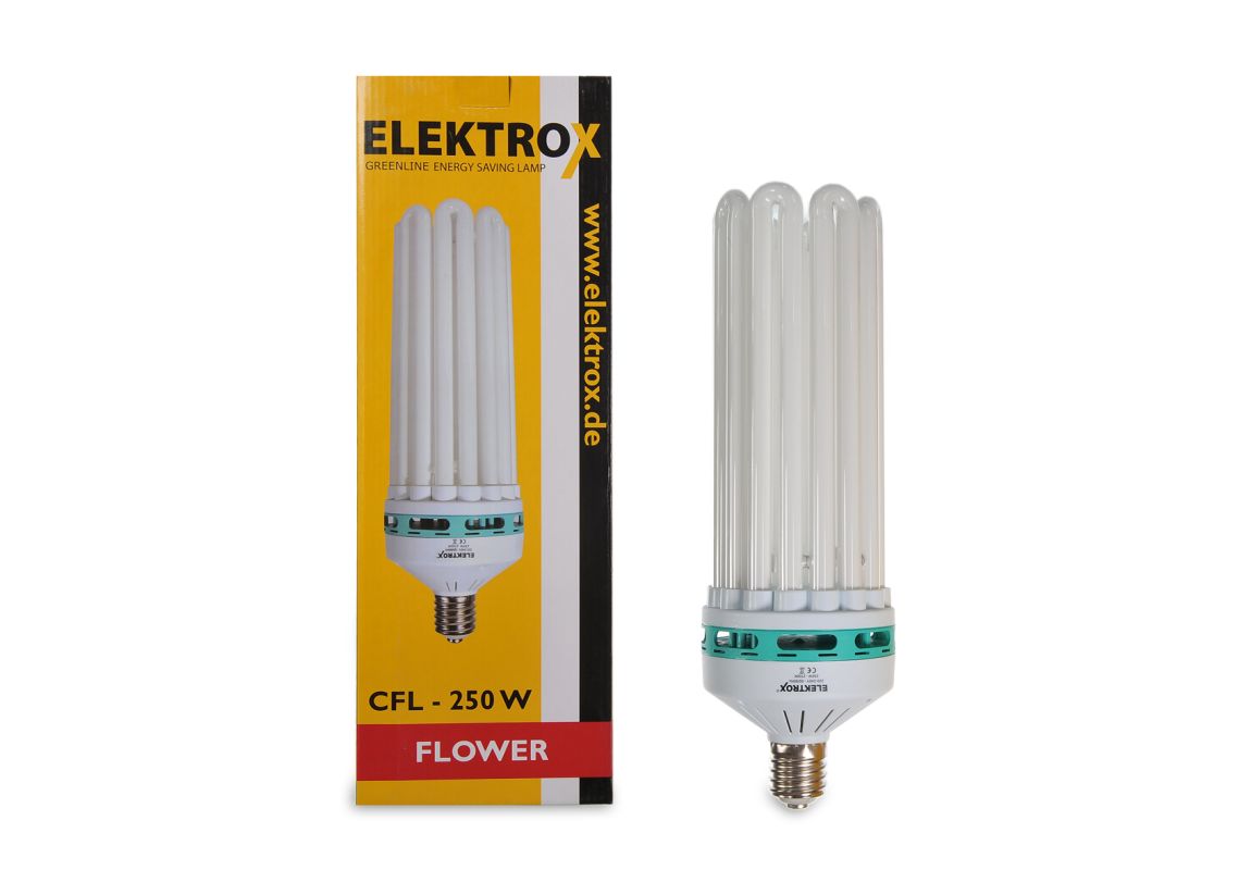 Elektrox  CFL 250 W Bloom 2700 K 