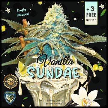 Vanilla Sundae - (Limited 710) 7 + 1 free