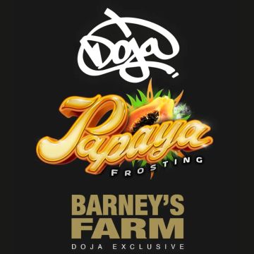 Barney’s Farm Papaya Frosting - 5 sjemenki