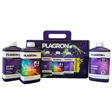 Plagron Easy Pack 100% Terra