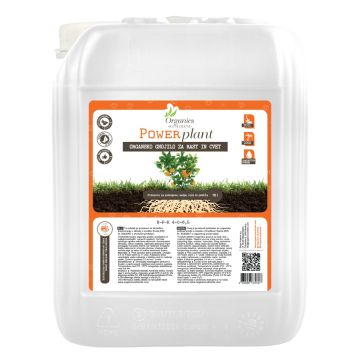 Power Plant  10 L