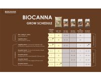 Biocanna Easybox