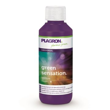 Plagron Green Sensation  100 ml