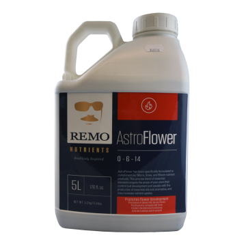 Remo Astro Flower  5 L